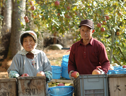 �p��w�K�C���[�W